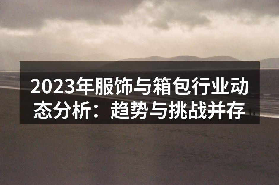 2023年服饰与箱包市场概览